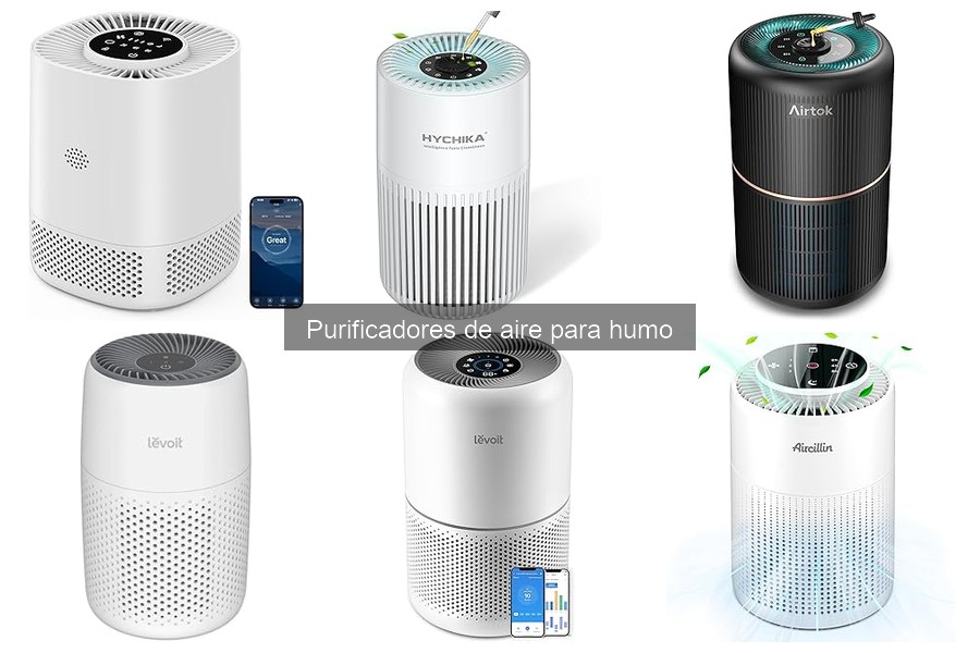 ¿Qué es un purificador de aire para humo? Función y Componentes