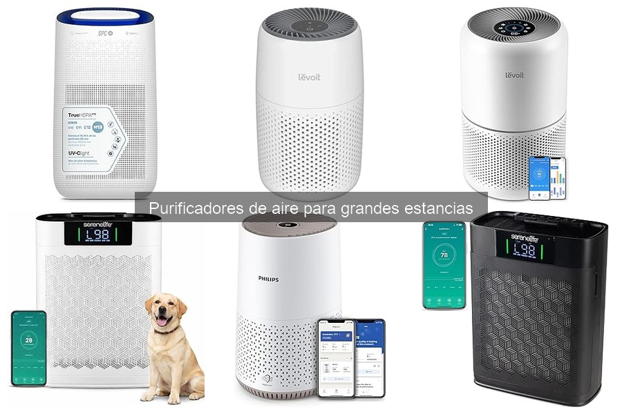 ¿Qué son los purificadores de aire para grandes estancias?