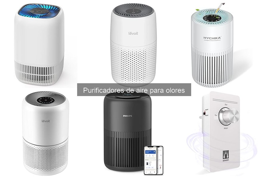 ¿Qué son los purificadores de aire para olores?
