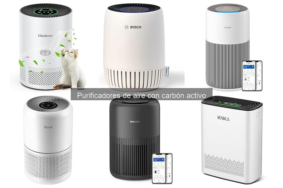 Testimonios de usuarios sobre purificadores de aire con carbón