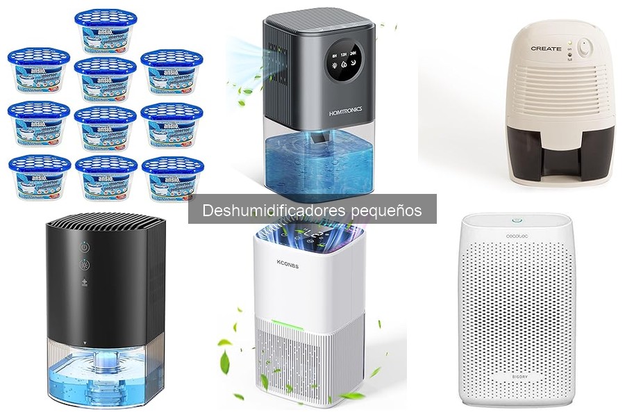 Tipos de Deshumidificadores Pequeños y sus Usos