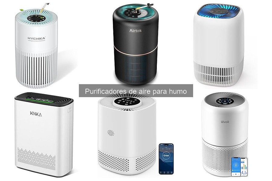 Tipos de Purificadores de Aire para Humo: Comparativa y Análisis