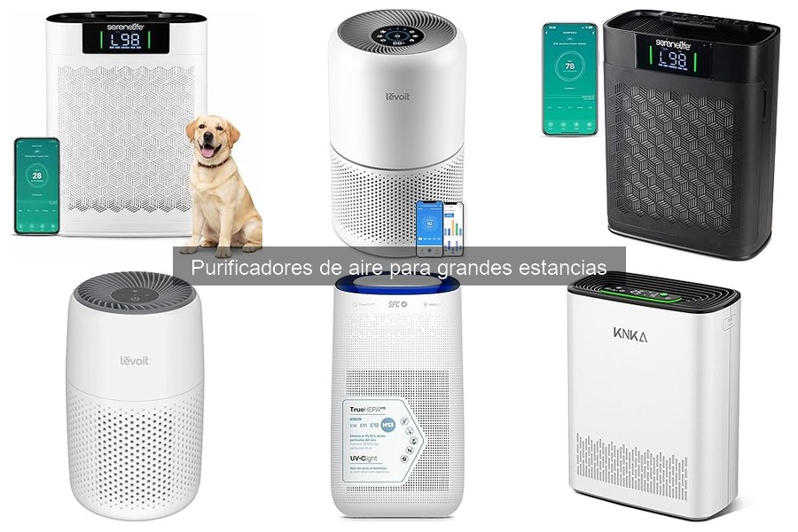 Ventajas de los purificadores de aire en grandes estancias