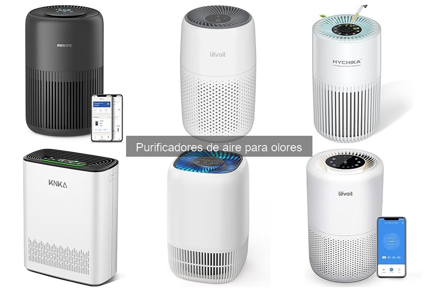 Ventajas de un Purificador de Aire para Olores en el Hogar