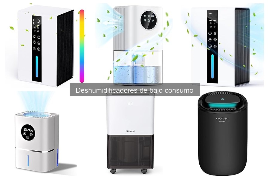 Ventajas y desventajas de los deshumidificadores de bajo consumo