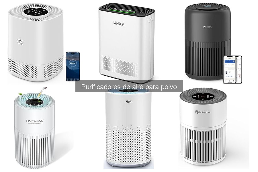 ** Ventajas y desventajas de purificadores de aire para polvo