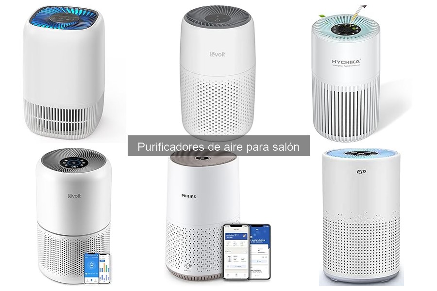 Ventajas y desventajas de usar un purificador de aire